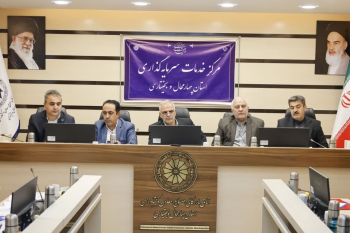 بخش اندکی از اقتصاد کشور کاملا خصوصی است